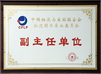 Deputy Director Unit of CFLP